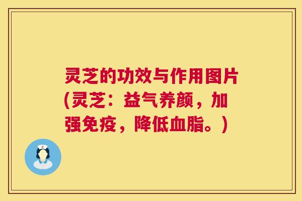 灵芝的功效与作用图片(灵芝:益气养颜,加强免疫,降低血脂。) 第1张 灵芝的功效与作用图片(灵芝:益气养颜,加强免疫,降低血脂。) 第1张