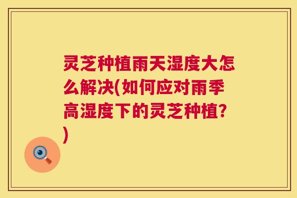 灵芝种植雨天湿度大怎么解决(如何应对雨季高湿度下的灵芝种植?) 第1张 灵芝种植雨天湿度大怎么解决(如何应对雨季高湿度下的灵芝种植?) 第1张