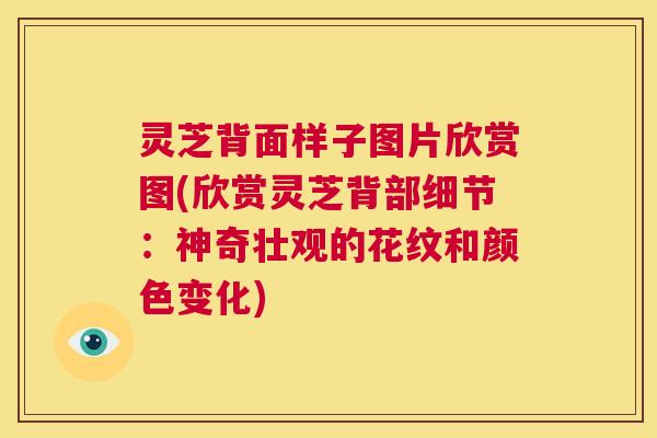 灵芝背面样子图片欣赏图(欣赏灵芝背部细节:神奇壮观的花纹和颜色变化) 第1张 灵芝背面样子图片欣赏图(欣赏灵芝背部细节:神奇壮观的花纹和颜色变化) 第1张