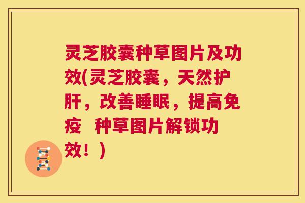 灵芝胶囊种草图片及功效(灵芝胶囊,天然护肝,改善睡眠,提高免疫 种草图片解锁功效!) 第1张 灵芝胶囊种草图片及功效(灵芝胶囊,天然护肝,改善睡眠,提高免疫 种草图片解锁功效!) 第1张