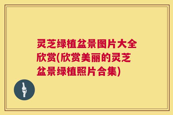 灵芝绿植盆景图片大全欣赏(欣赏美丽的灵芝盆景绿植照片合集) 第1张 灵芝绿植盆景图片大全欣赏(欣赏美丽的灵芝盆景绿植照片合集) 第1张