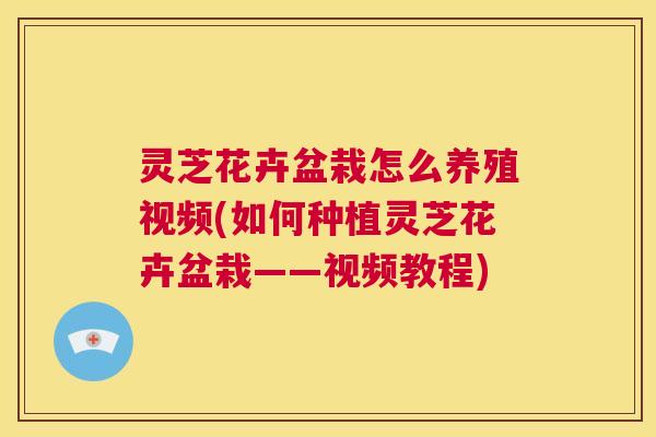 灵芝花卉盆栽怎么养殖视频(如何种植灵芝花卉盆栽——视频教程) 第1张 灵芝花卉盆栽怎么养殖视频(如何种植灵芝花卉盆栽——视频教程) 第1张
