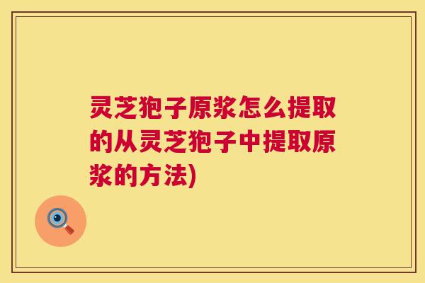 灵芝狍子原浆怎么提取的从灵芝狍子中提取原浆的方法) 第1张 灵芝狍子原浆怎么提取的从灵芝狍子中提取原浆的方法) 第1张