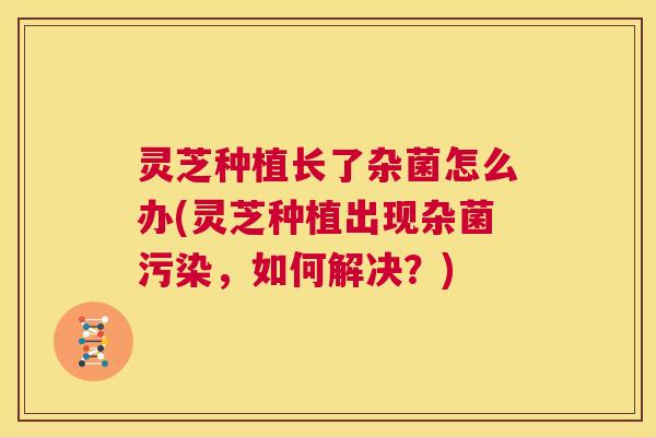 灵芝种植长了杂菌怎么办(灵芝种植出现杂菌污染,如何解决?) 第1张 灵芝种植长了杂菌怎么办(灵芝种植出现杂菌污染,如何解决?) 第1张