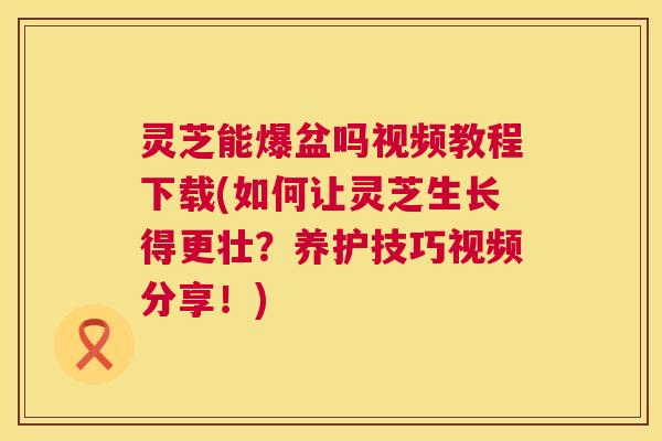 灵芝能爆盆吗视频教程下载(如何让灵芝生长得更壮?养护技巧视频分享!) 第1张 灵芝能爆盆吗视频教程下载(如何让灵芝生长得更壮?养护技巧视频分享!) 第1张
