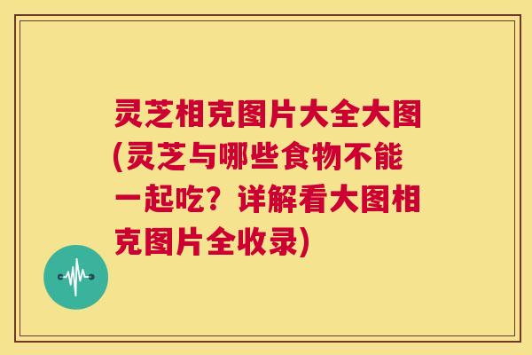灵芝相克图片大全大图(灵芝与哪些食物不能一起吃?详解看大图相克图片全收录) 第1张 灵芝相克图片大全大图(灵芝与哪些食物不能一起吃?详解看大图相克图片全收录) 第1张