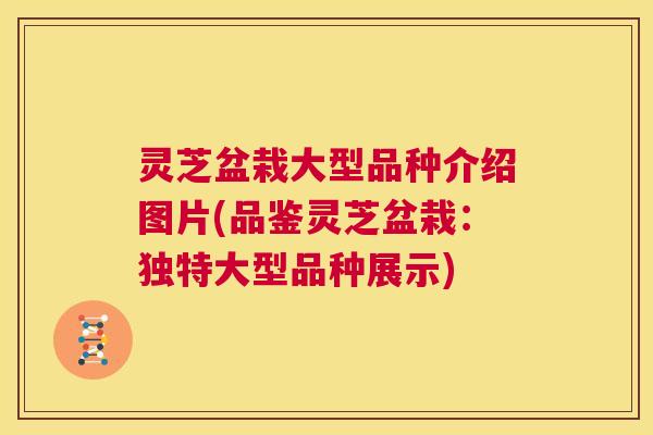 灵芝盆栽大型品种介绍图片(品鉴灵芝盆栽:独特大型品种展示) 第1张 灵芝盆栽大型品种介绍图片(品鉴灵芝盆栽:独特大型品种展示) 第1张