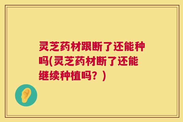 灵芝药材跟断了还能种吗(灵芝药材断了还能继续种植吗?) 第1张 灵芝药材跟断了还能种吗(灵芝药材断了还能继续种植吗?) 第1张