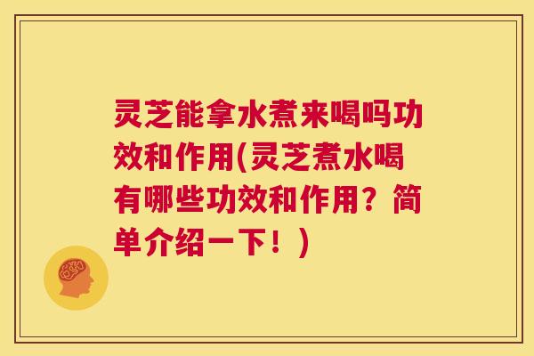 灵芝能拿水煮来喝吗功效和作用(灵芝煮水喝有哪些功效和作用?简单介绍一下!) 第1张 灵芝能拿水煮来喝吗功效和作用(灵芝煮水喝有哪些功效和作用?简单介绍一下!) 第1张