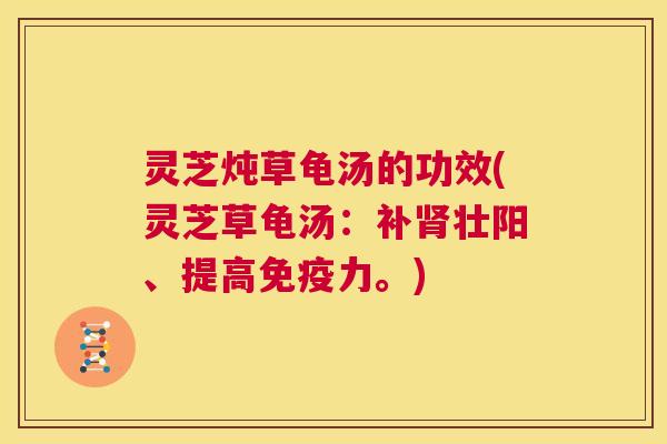 灵芝炖草龟汤的功效(灵芝草龟汤:补肾壮阳、提高免疫力。) 第1张 灵芝炖草龟汤的功效(灵芝草龟汤:补肾壮阳、提高免疫力。) 第1张