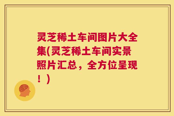 灵芝稀土车间图片大全集(灵芝稀土车间实景照片汇总，全方位呈现！)  第1张