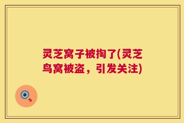 灵芝窝子被掏了(灵芝鸟窝被盗,引发关注) 第1张 灵芝窝子被掏了(灵芝鸟窝被盗,引发关注) 第1张