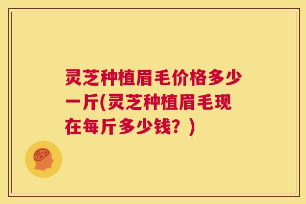 灵芝种植眉毛价格多少一斤(灵芝种植眉毛现在每斤多少钱?) 第1张 灵芝种植眉毛价格多少一斤(灵芝种植眉毛现在每斤多少钱?) 第1张