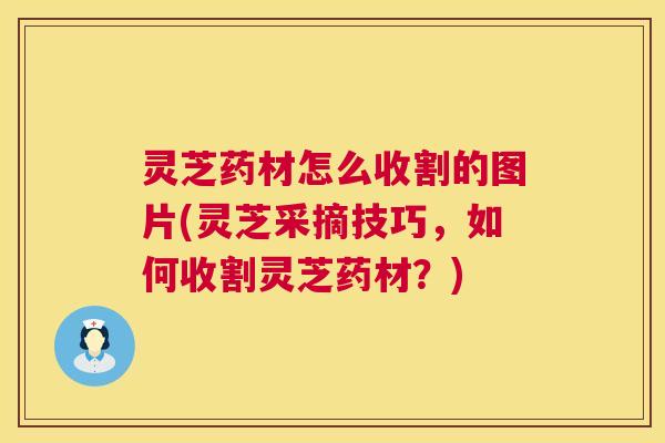 灵芝药材怎么收割的图片(灵芝采摘技巧,如何收割灵芝药材?) 第1张 灵芝药材怎么收割的图片(灵芝采摘技巧,如何收割灵芝药材?) 第1张