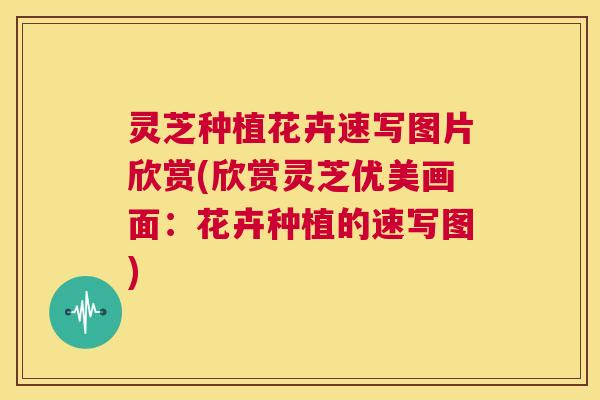 灵芝种植花卉速写图片欣赏(欣赏灵芝优美画面:花卉种植的速写图) 第1张 灵芝种植花卉速写图片欣赏(欣赏灵芝优美画面:花卉种植的速写图) 第1张