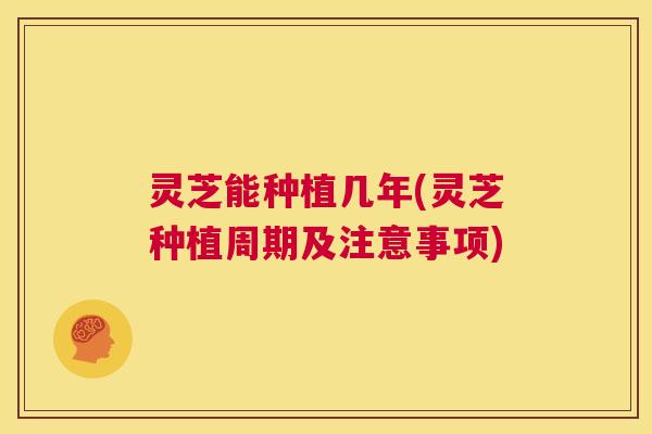 灵芝能种植几年(灵芝种植周期及注意事项) 第1张 灵芝能种植几年(灵芝种植周期及注意事项) 第1张