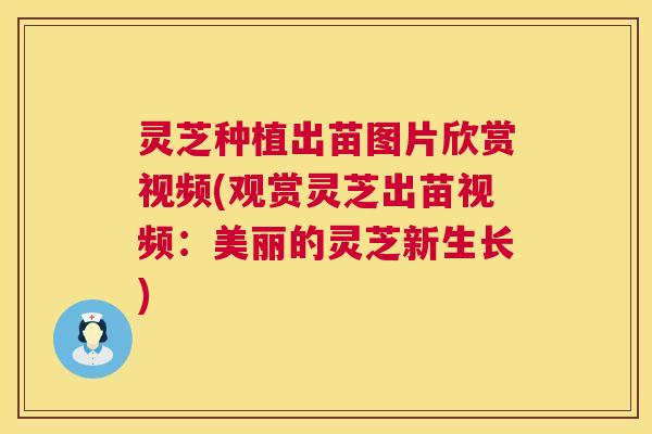 灵芝种植出苗图片欣赏视频(观赏灵芝出苗视频:美丽的灵芝新生长) 第1张 灵芝种植出苗图片欣赏视频(观赏灵芝出苗视频:美丽的灵芝新生长) 第1张