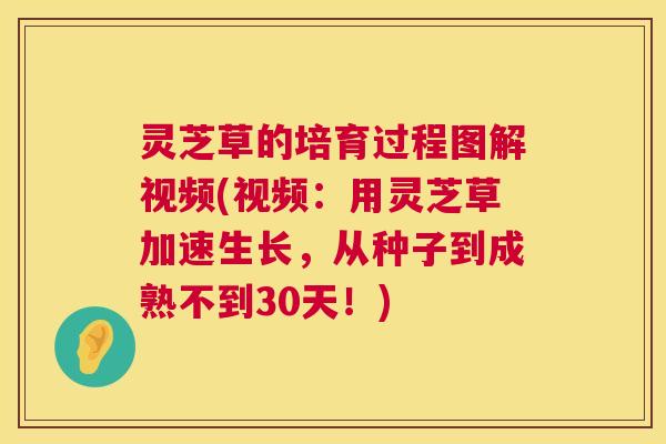 灵芝草的培育过程图解视频(视频:用灵芝草加速生长,从种子到成熟不到30天!) 第1张 灵芝草的培育过程图解视频(视频:用灵芝草加速生长,从种子到成熟不到30天!) 第1张
