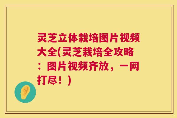 灵芝立体栽培图片视频大全(灵芝栽培全攻略:图片视频齐放,一网打尽!) 第1张 灵芝立体栽培图片视频大全(灵芝栽培全攻略:图片视频齐放,一网打尽!) 第1张