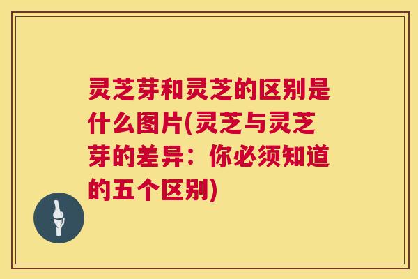 灵芝芽和灵芝的区别是什么图片(灵芝与灵芝芽的差异:你必须知道的五个区别) 第1张 灵芝芽和灵芝的区别是什么图片(灵芝与灵芝芽的差异:你必须知道的五个区别) 第1张