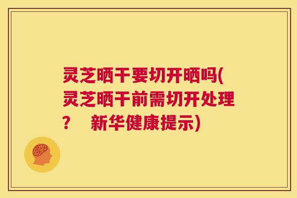 灵芝晒干要切开晒吗(灵芝晒干前需切开处理? 新华健康提示) 第1张 灵芝晒干要切开晒吗(灵芝晒干前需切开处理? 新华健康提示) 第1张