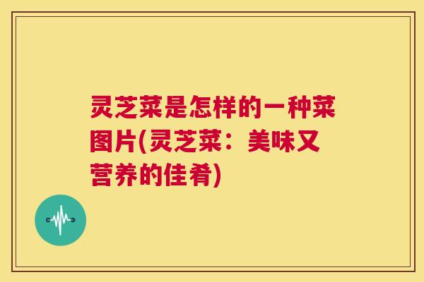 灵芝菜是怎样的一种菜图片(灵芝菜:美味又营养的佳肴) 第1张 灵芝菜是怎样的一种菜图片(灵芝菜:美味又营养的佳肴) 第1张