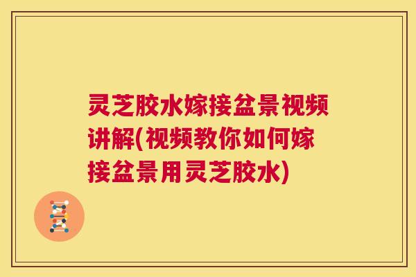 灵芝胶水嫁接盆景视频讲解(视频教你如何嫁接盆景用灵芝胶水) 第1张 灵芝胶水嫁接盆景视频讲解(视频教你如何嫁接盆景用灵芝胶水) 第1张