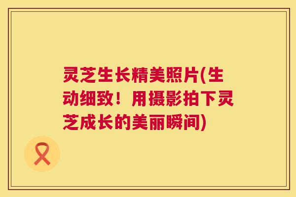 灵芝生长精美照片(生动细致!用摄影拍下灵芝成长的美丽瞬间) 第1张 灵芝生长精美照片(生动细致!用摄影拍下灵芝成长的美丽瞬间) 第1张