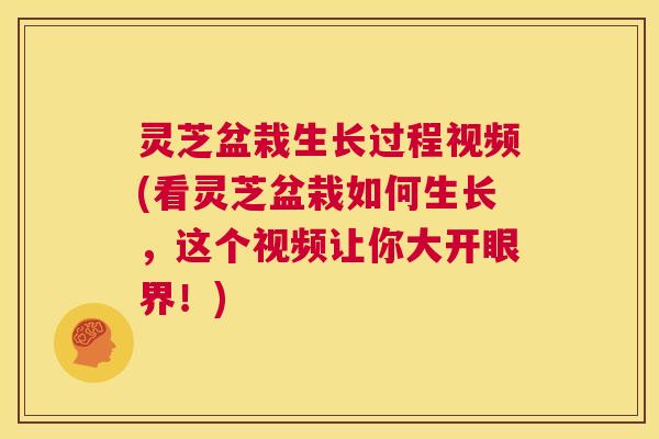 灵芝盆栽生长过程视频(看灵芝盆栽如何生长,这个视频让你大开眼界!) 第1张 灵芝盆栽生长过程视频(看灵芝盆栽如何生长,这个视频让你大开眼界!) 第1张