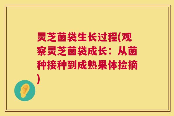 灵芝菌袋生长过程(观察灵芝菌袋成长:从菌种接种到成熟果体捡摘) 第1张 灵芝菌袋生长过程(观察灵芝菌袋成长:从菌种接种到成熟果体捡摘) 第1张