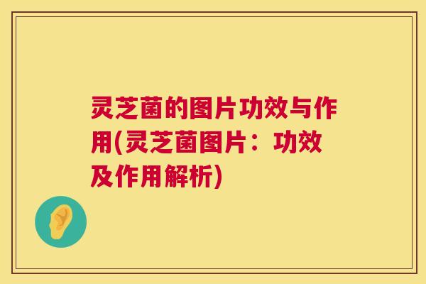 灵芝菌的图片功效与作用(灵芝菌图片:功效及作用解析) 第1张 灵芝菌的图片功效与作用(灵芝菌图片:功效及作用解析) 第1张