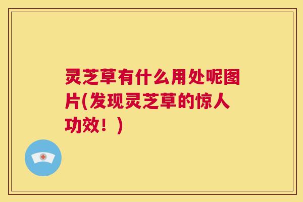 灵芝草有什么用处呢图片(发现灵芝草的惊人功效!) 第1张 灵芝草有什么用处呢图片(发现灵芝草的惊人功效!) 第1张