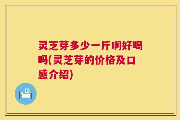 灵芝芽多少一斤啊好喝吗(灵芝芽的价格及口感介绍) 第1张 灵芝芽多少一斤啊好喝吗(灵芝芽的价格及口感介绍) 第1张