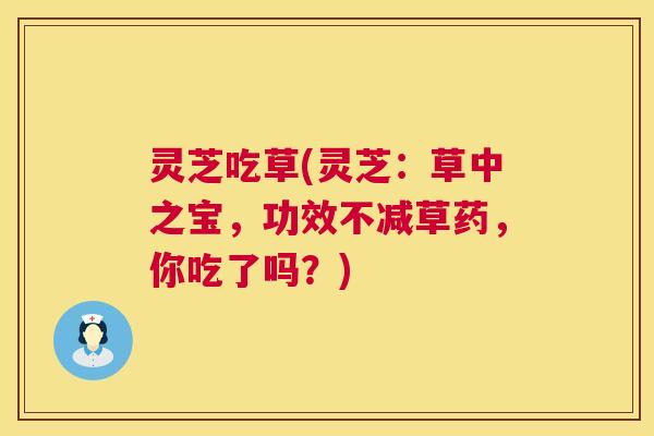 灵芝吃草(灵芝:草中之宝,功效不减草药,你吃了吗?) 第1张 灵芝吃草(灵芝:草中之宝,功效不减草药,你吃了吗?) 第1张