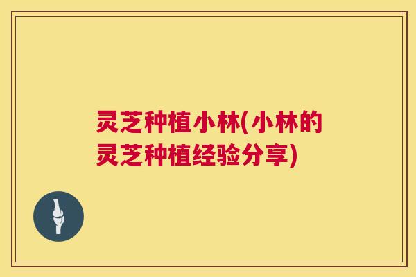 灵芝种植小林(小林的灵芝种植经验分享) 第1张 灵芝种植小林(小林的灵芝种植经验分享) 第1张