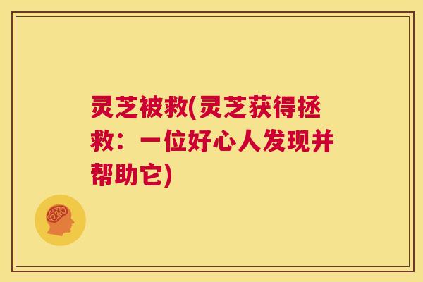 灵芝被救(灵芝获得拯救：一位好心人发现并帮助它)  第1张