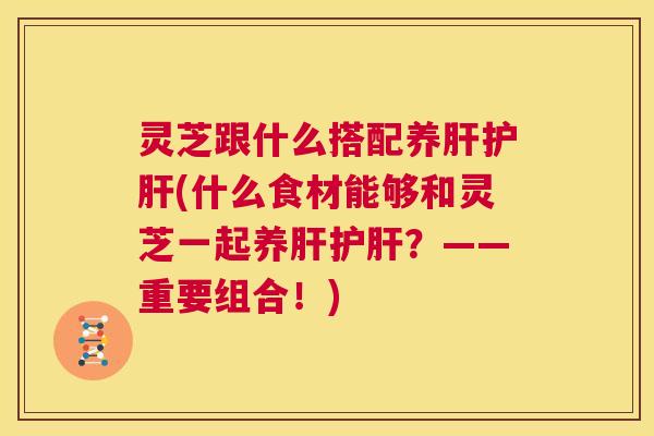 灵芝跟什么搭配养肝护肝(什么食材能够和灵芝一起养肝护肝？——重要组合！)  第1张