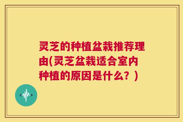 灵芝的种植盆栽推荐理由(灵芝盆栽适合室内种植的原因是什么?) 第1张 灵芝的种植盆栽推荐理由(灵芝盆栽适合室内种植的原因是什么?) 第1张