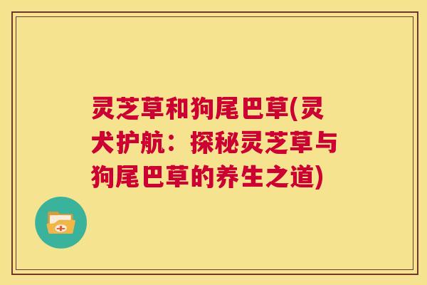 灵芝草和狗尾巴草(灵犬护航:探秘灵芝草与狗尾巴草的养生之道) 第1张 灵芝草和狗尾巴草(灵犬护航:探秘灵芝草与狗尾巴草的养生之道) 第1张