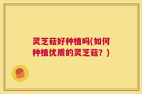 灵芝菇好种植吗(如何种植优质的灵芝菇?) 第1张 灵芝菇好种植吗(如何种植优质的灵芝菇?) 第1张