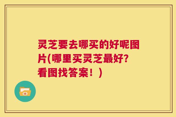 灵芝要去哪买的好呢图片(哪里买灵芝最好?看图找答案!) 第1张 灵芝要去哪买的好呢图片(哪里买灵芝最好?看图找答案!) 第1张