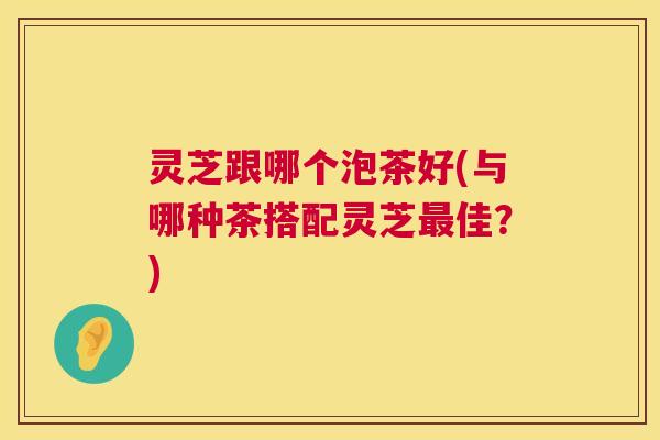 灵芝跟哪个泡茶好(与哪种茶搭配灵芝最佳?) 第1张 灵芝跟哪个泡茶好(与哪种茶搭配灵芝最佳?) 第1张