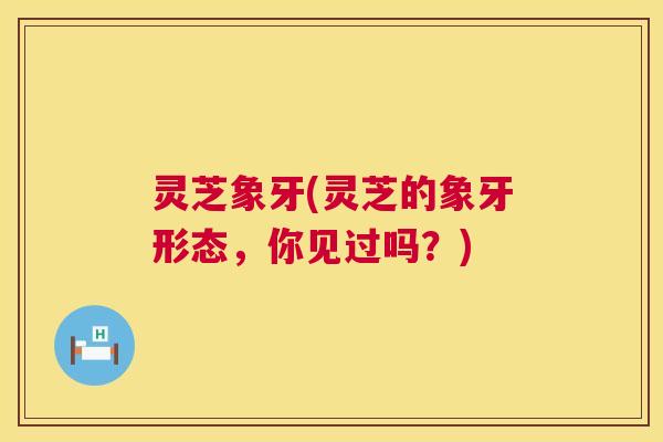 灵芝象牙(灵芝的象牙形态,你见过吗?) 第1张 灵芝象牙(灵芝的象牙形态,你见过吗?) 第1张