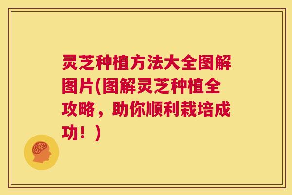 灵芝种植方法大全图解图片(图解灵芝种植全攻略,助你顺利栽培成功!) 第1张 灵芝种植方法大全图解图片(图解灵芝种植全攻略,助你顺利栽培成功!) 第1张