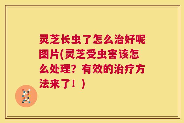 灵芝长虫了怎么治好呢图片(灵芝受虫害该怎么处理？有效的治疗方法来了！)  第1张
