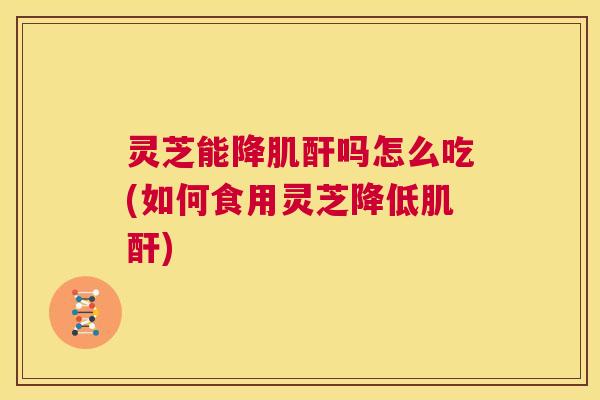 灵芝能降肌酐吗怎么吃(如何食用灵芝降低肌酐) 第1张 灵芝能降肌酐吗怎么吃(如何食用灵芝降低肌酐) 第1张