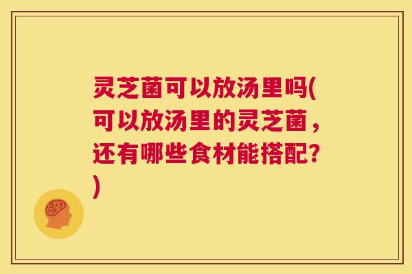 灵芝菌可以放汤里吗(可以放汤里的灵芝菌，还有哪些食材能搭配？)  第1张