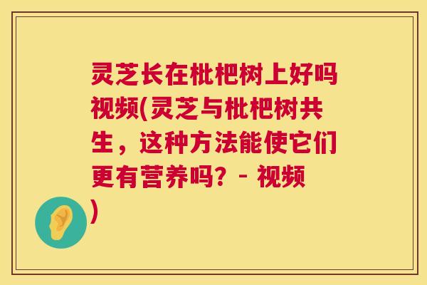 灵芝长在枇杷树上好吗视频(灵芝与枇杷树共生,这种方法能使它们更有营养吗?- 视频) 第1张 灵芝长在枇杷树上好吗视频(灵芝与枇杷树共生,这种方法能使它们更有营养吗?- 视频) 第1张