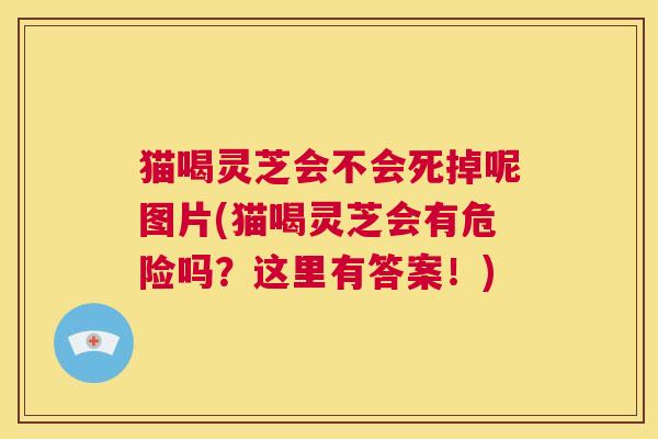 猫喝灵芝会不会死掉呢图片(猫喝灵芝会有危险吗？这里有答案！)  第1张