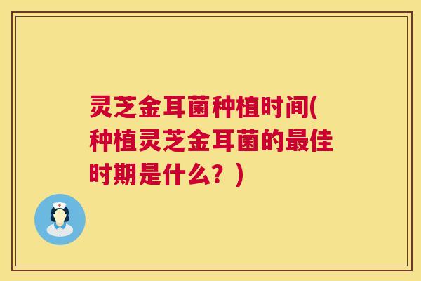 灵芝金耳菌种植时间(种植灵芝金耳菌的最佳时期是什么？)  第1张